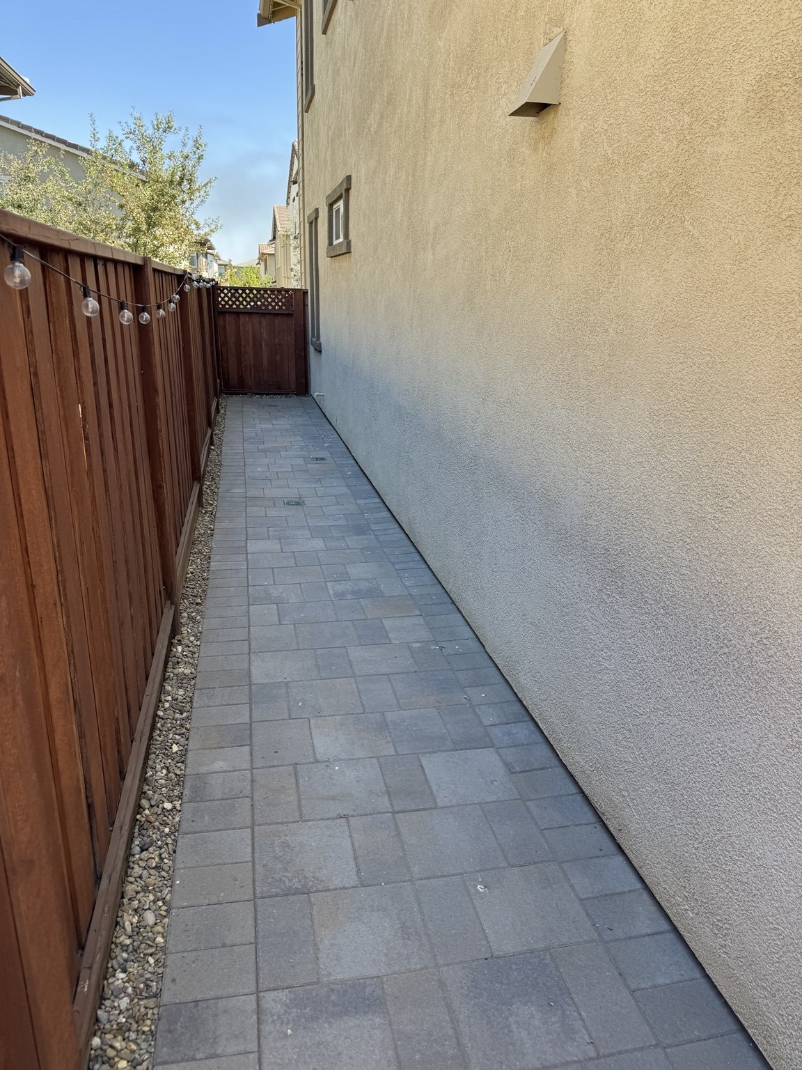 Side yard after junk removal