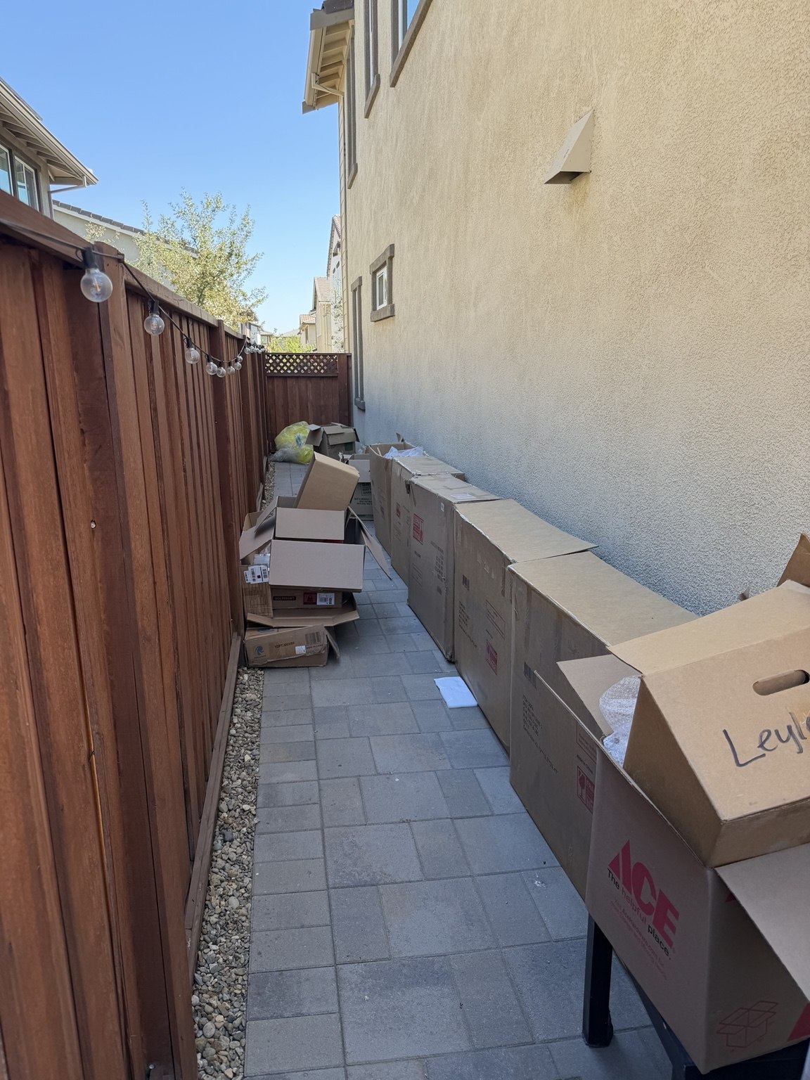 Side yard before junk removal